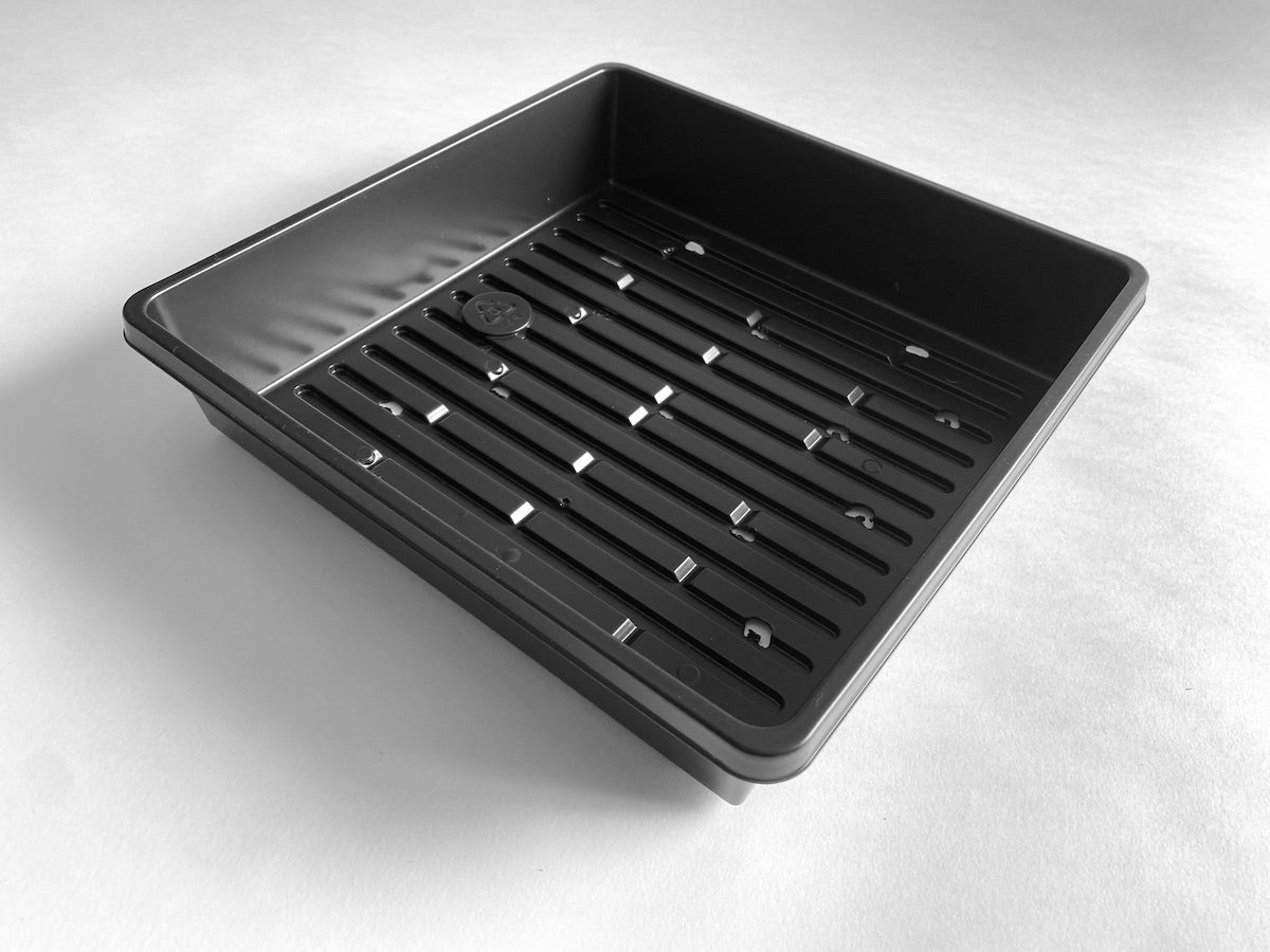 seed planting tray Tray