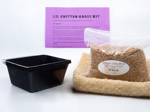 Lil Critter Grass Kit