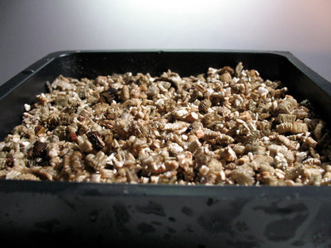 Vermiculite Growing Medium