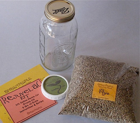 Rejuvelac Kit