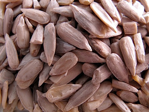sprouting sunflower seeds for planting Sunflower Sprouts – Sproutpeople