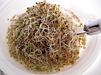 easy sprout,easy sprout sprouter,sprouts,sprouter,sprouting,dehull,dehulling,seed hull