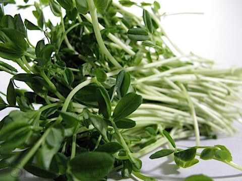 Pea Shoot Stir Fry