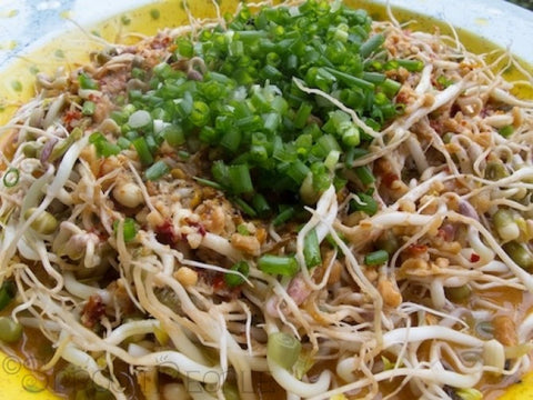 Hunan Mung Beans in Outrageous Dressing