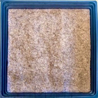 Hemp Felt Growing Medium - 10x10