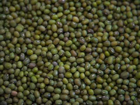 Mung Bean Sprouts