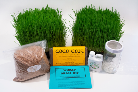 Wheat Grass Kit