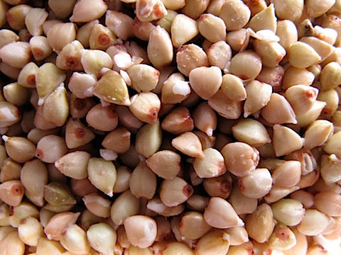 Buckwheat Groat Sprouts