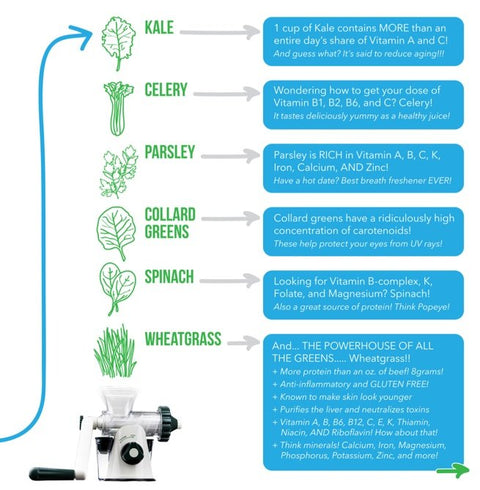 Healthy Juicer