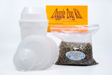 It's A Doggie Dog World - Sprout Kit For Dogs (and People)