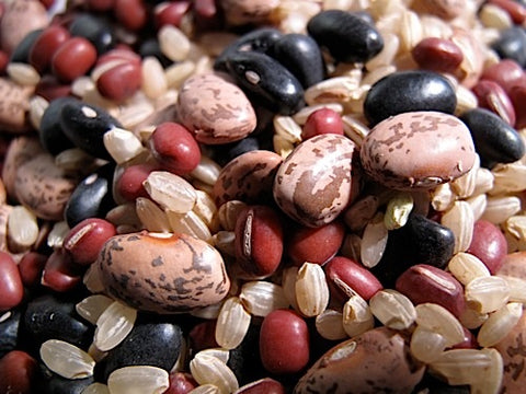 Great Beans and Rice Sprout Mix