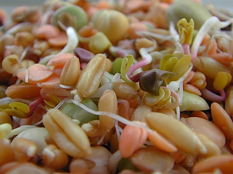 Hot And Sweet Sprout Mix