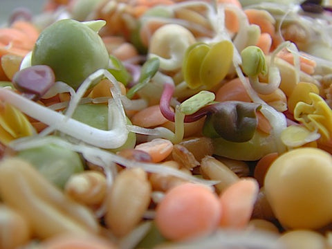 Hot And Sweet Sprout Mix