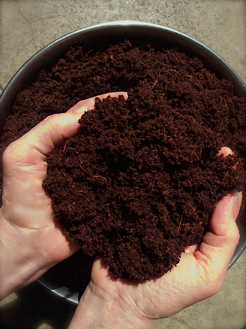 Coconut Coir Growing Medium