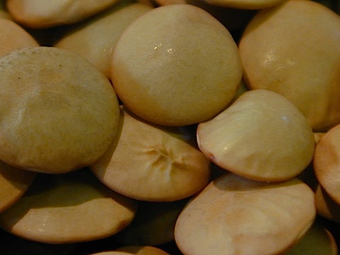 Green Lentil Sprouts