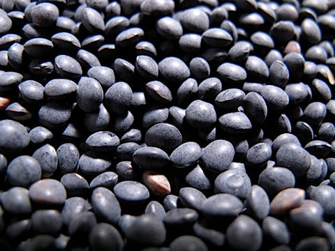 Black Lentil Sprouts