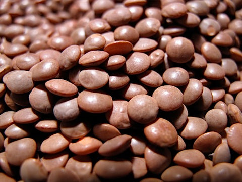 Crimson Lentil Sprouts