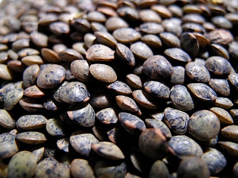 French Blue Lentil Sprouts