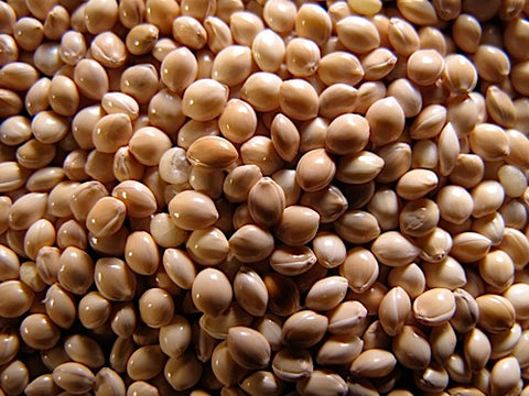 Millet Sprouts