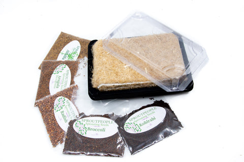 Mini Micro-Greens Kit