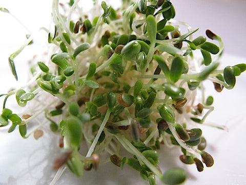 Moo Mix Sprouts