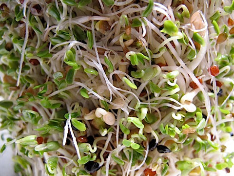 Mother's Mix Sprouts