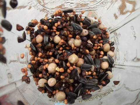 nalleru plant seeds Nalo Greens – Sproutpeople