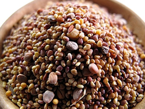 Nick's Hot Sprout Salad Mix – Sproutpeople