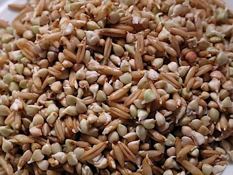 Oats and Groats Sprout Mix