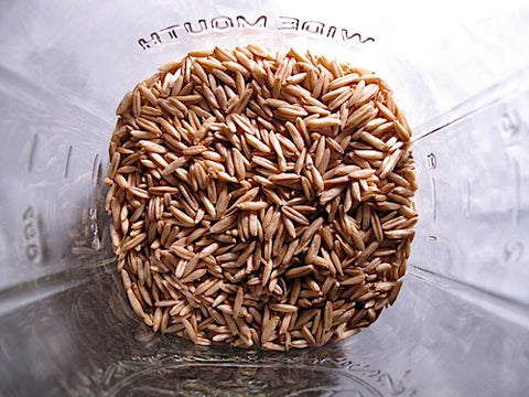 Oat Sprouts