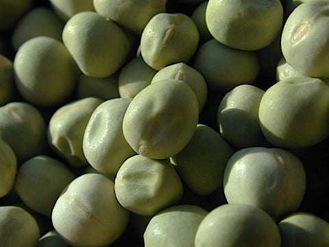 Green Pea Sprouts