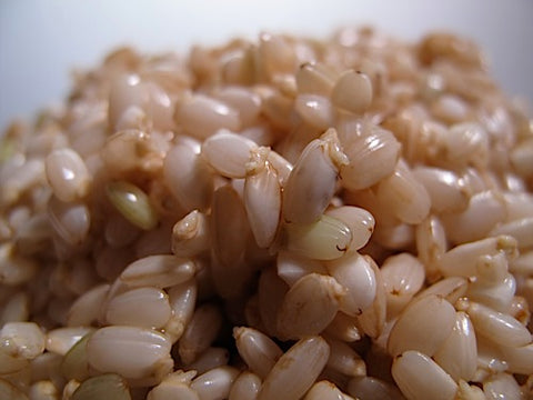 Brown Rice Sprouts