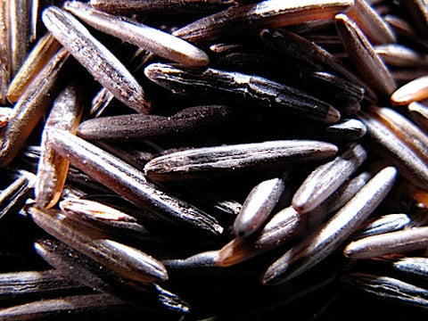 Wild Rice Sprouts