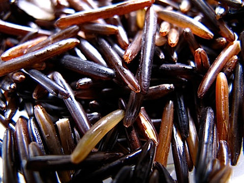 Wild Rice Sprouts