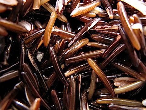 Wild Rice Sprouts