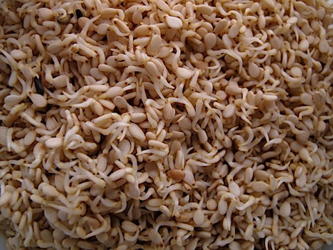 Sesame Sprouts - Natural