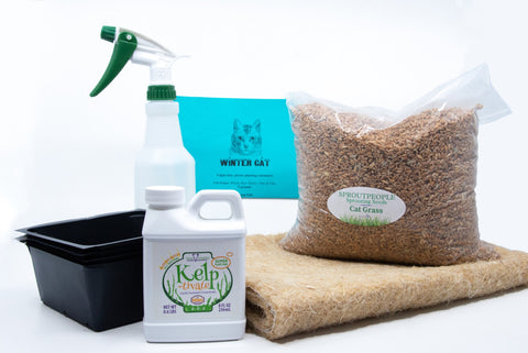 Winter Cat Grass Kit