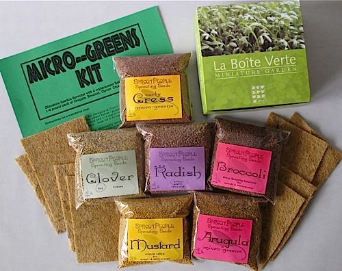 Micro Greens Kit Seed Refill Sproutpeople