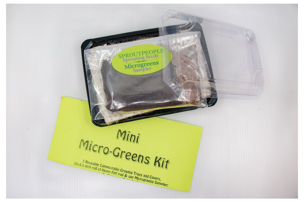 Micro-Greens Kit | Sproutpeople